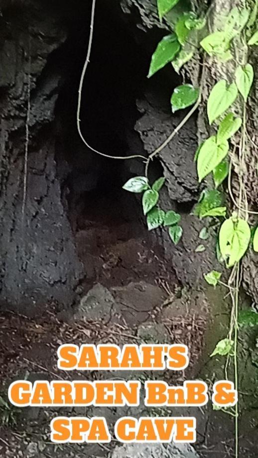 Sarah'S Garden Bnb & Spa Bed and Breakfast Clarin  Esterno foto